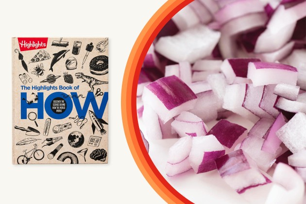 Book of How cover next to a picture of chopped red onions.